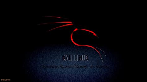 Kali Linux Windows Wallpapers - Top Free Kali Linux Windows Backgrounds ...