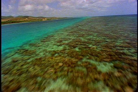 Aerial of Coral Reef in Stock Footage Video (100% Royalty-free) 3976597 | Shutterstock