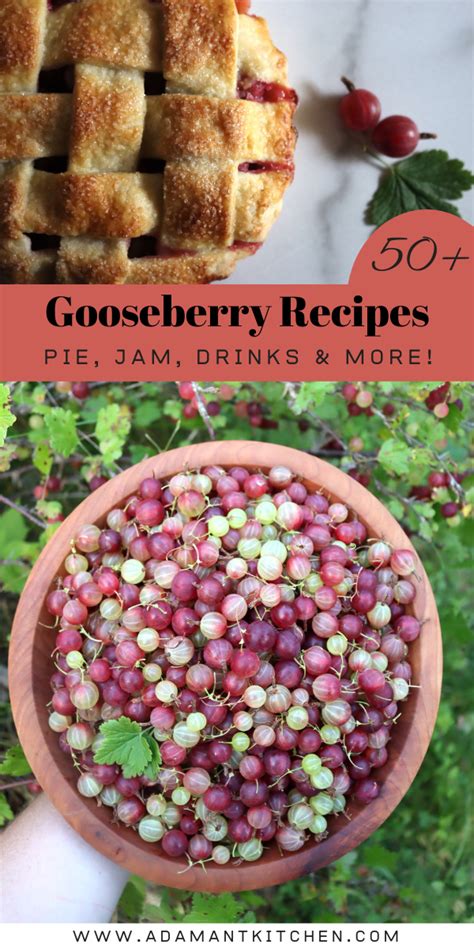 70+ Gooseberry Recipes - Adamant Kitchen