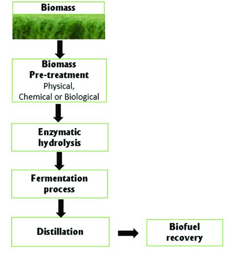 Schematic representation of the steps involved in biofuel production... | Download Scientific ...