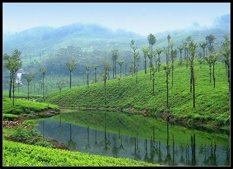 KING SOLOMON TOURS AND TRAVELS: VALPARAI PACKAGE TOUR