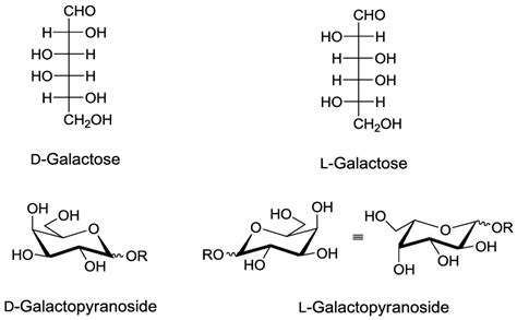 Enantiomeric forms of galactose. | Download Scientific Diagram