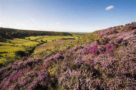 Places to visit in Yorkshire - Welcome to Yorkshire