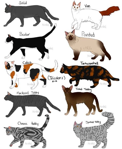 Warrior Cat Cat Breeds Chart - Pets Lovers