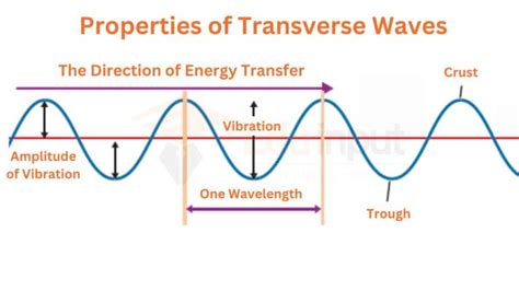 Transverse Waves-Examples, Diagram, And Properties