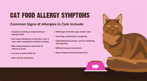 Food Allergies in Cats: Common Symptoms & How to Treat Them