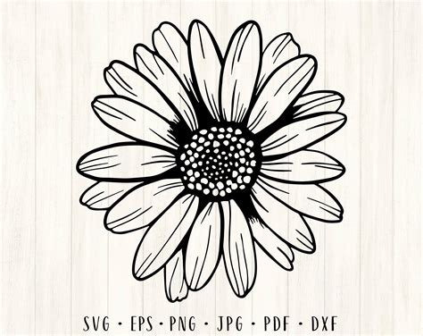 Flower Svg, Daisy Flower, Margarita Flower, Cute Tshirt Designs, Sunflower Clipart, Sunflower ...