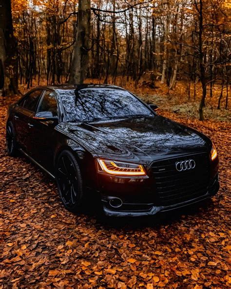 Another car from Autumn shoot Black Audi A8! This time no leafs on the bonnet : r/carporn