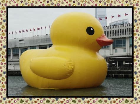 🔥 [50+] Giant Rubber Duck Wallpapers | WallpaperSafari