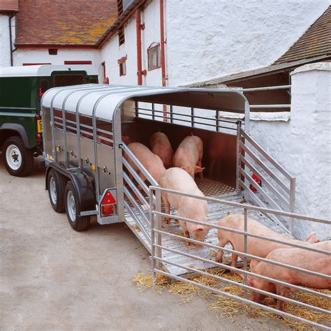 Ifor Williams TA5 10x4 H/R Sheep and Pig Livestock Trailer | Farm ...