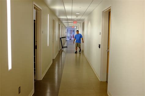 Free stock photo of college, hallway