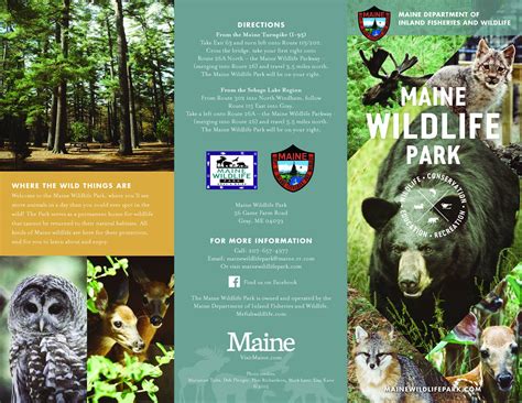 here is the newly designed wildlife... - Maine Wildlife Park