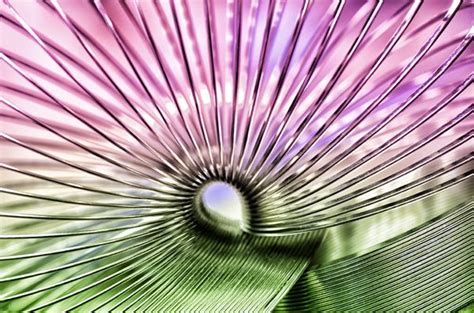 Slinky Art | Slinky, Macro photography, Original image