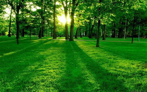 nature, Landscape, Green, Grass Wallpapers HD / Desktop and Mobile ...