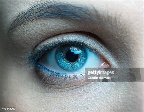 32,888 Sapphire Blue Eyes Stock Photos, High-Res Pictures, and Images - Getty Images