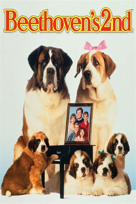 Beethoven And Beethoven 2nd Movie VHS St Bernard Dog Movie | ubicaciondepersonas.cdmx.gob.mx