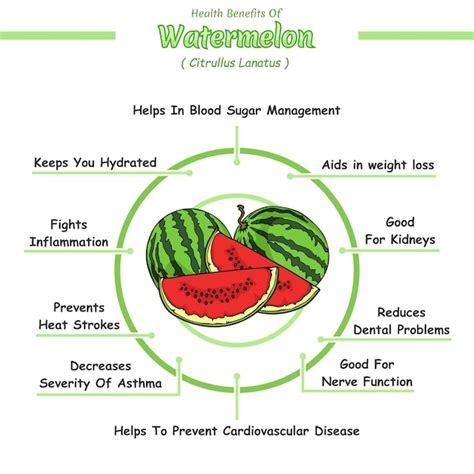 Premium Vector | Health benefits of watermelon