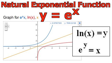 Natural Exponential Function: y = e^x - YouTube