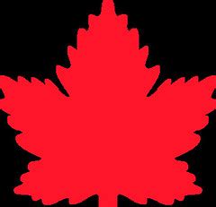 classic maple leaf vector | Vectot drawing of the classic ma… | Flickr