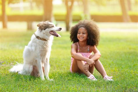 Companion Animal Psychology: The benefits of pets for children