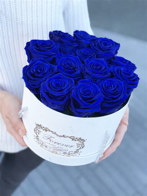 Free photo: Blue Rose - Fresh, Purple, Nature - Free Download - Jooinn