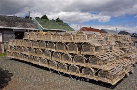 Lobster Fishing Traps Prince Edward Island - Photo & Travel Idea Canada