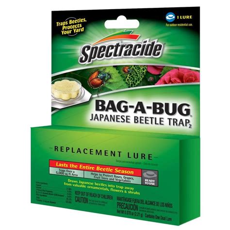 8 Photos Carpet Beetle Traps Lowes And Description - Alqu Blog