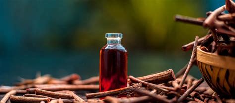 Top 10 Ayurvedic Cough Syrup Brands in India 2024