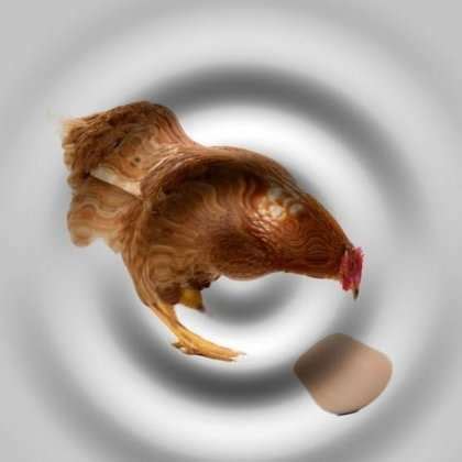 Quantum weirdness in 'chicken or egg' paradox