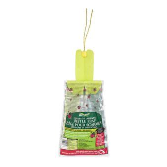 Carpet Beetle Traps Canadian Tire | Review Home Decor