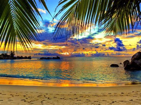 Caribbean Beach Sunset Wallpaper