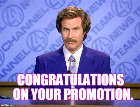 congratulations for promotion meme