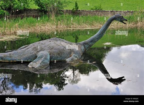 Water Horse Nessie Loch Ness Monster