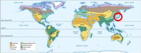 Temperate Deciduous Forest World Map – Interactive Map