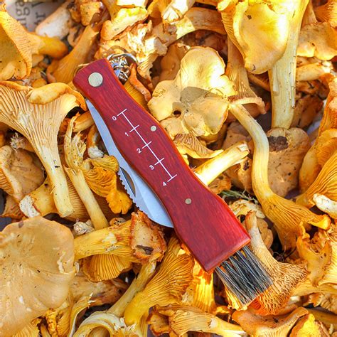 Mushroom Knife - Folding mushroom knife and brush | SmartaSaker