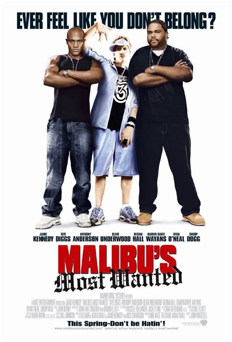 Tastedive | Movies like Malibu's Most Wanted