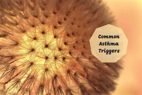 common asthma triggers - Ayurvedum