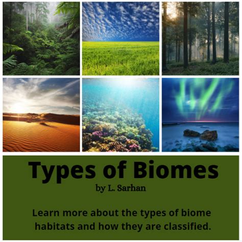 Biome Examples