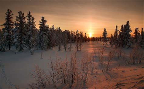 winter, snow, sunset Wallpaper, HD Nature 4K Wallpapers, Images and Background - Wallpapers Den