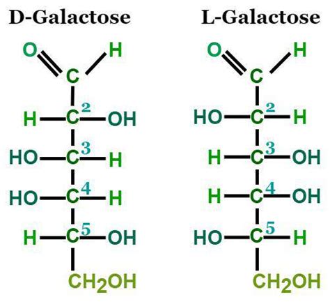 Chemical Structure Of Galactose