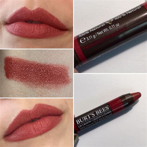 Burt's Bees Lip Crayon in Redwood Forest. Muted brown toned red lipstick. | Burts bees lip ...