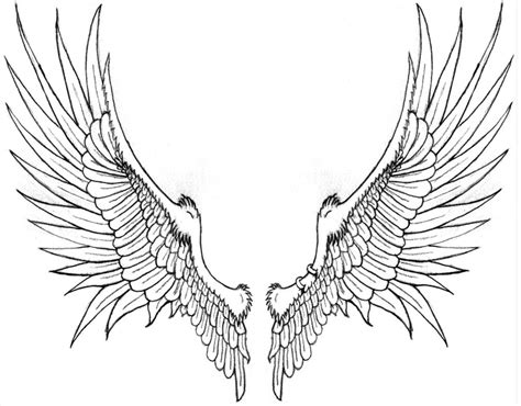 Phoenix Wings Drawing at GetDrawings | Free download