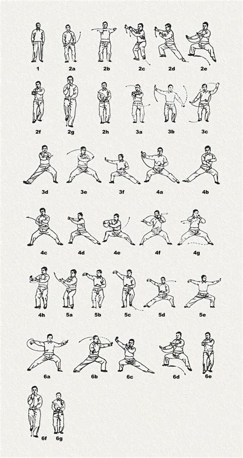 chen taijiquan, first form section 1 movements 1-6 | Martial arts forms, Martial arts, Martial ...