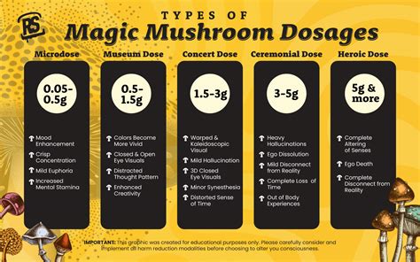 How Long Do Shrooms Stay In Your System?