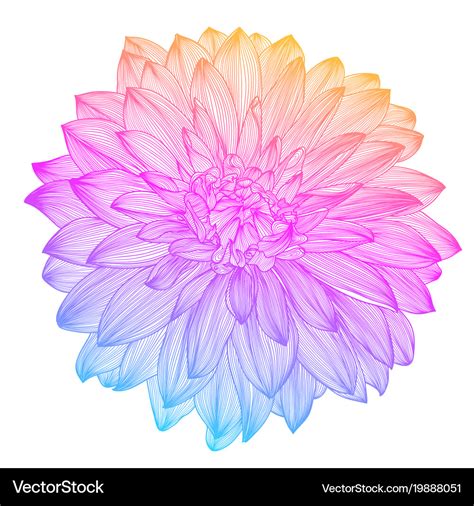 Hand drawing rainbow flower Royalty Free Vector Image