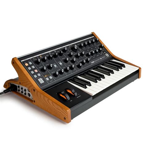 Moog Subsequent 25 Analog Synth | Reverb