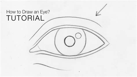 How to draw an eye from any angle for BEGINNERS (Basic proportions ...