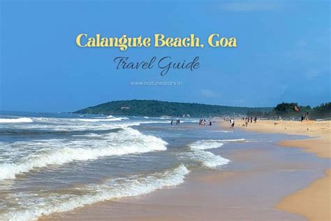 Calangute Beach, Goa : Know Everything Before You Go