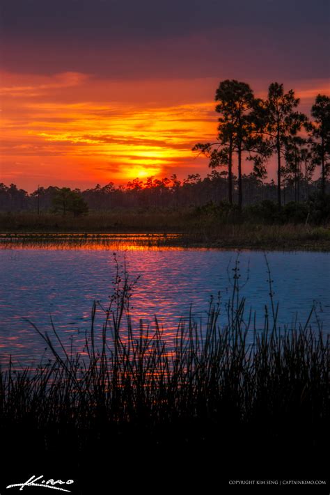 Florida Landscape Sunset Pine Forest – HDR Photography by Captain Kimo