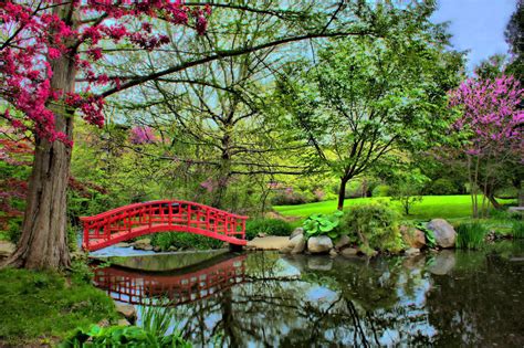 Japanese Garden Red Bridge | Designhaus Architecture